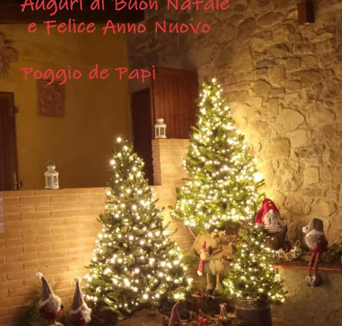 Agriturismo Poggio De Papi Cantagrillo 0*,